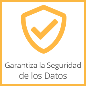 Garantiza la Seguridad de los Datos